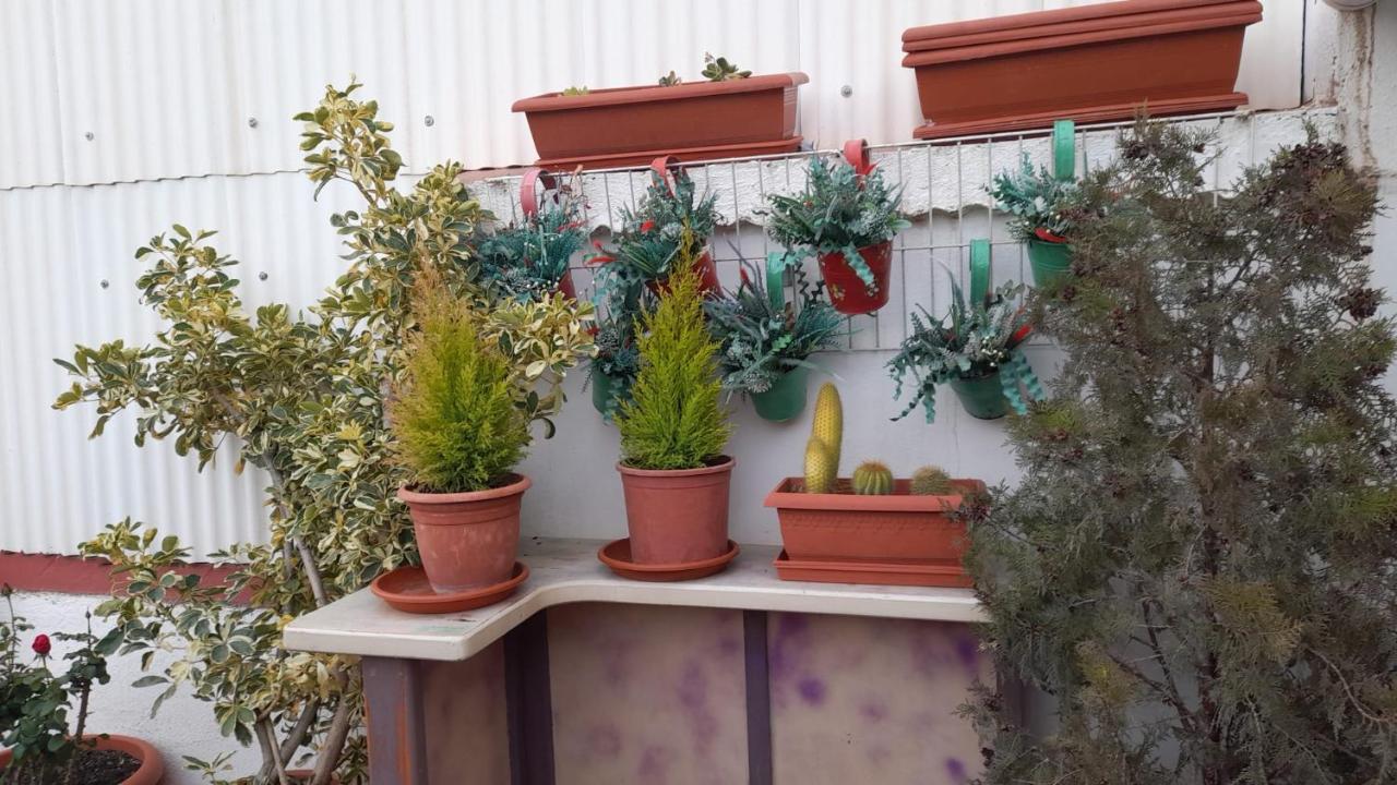 Appartement La Terraza *